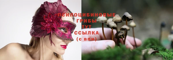 марки lsd Кодинск