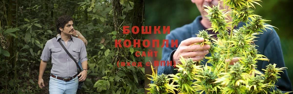 СК Козловка